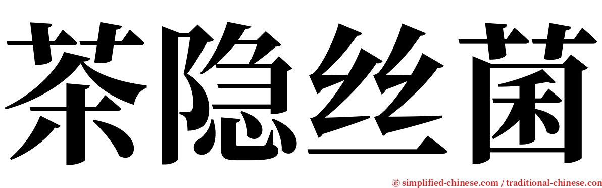 茶隐丝菌 serif font