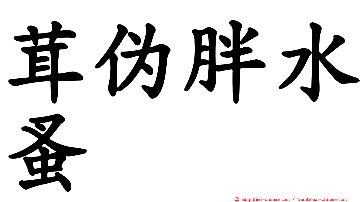 茸伪胖水蚤