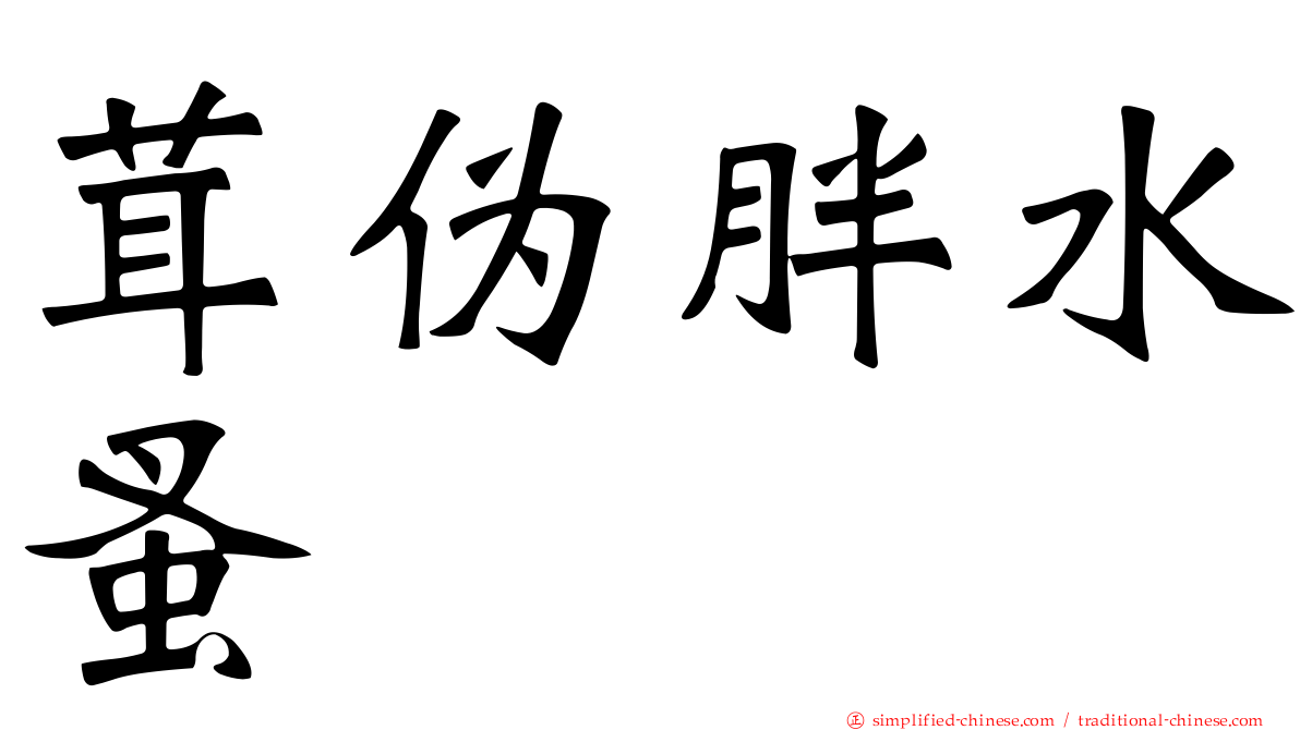 茸伪胖水蚤