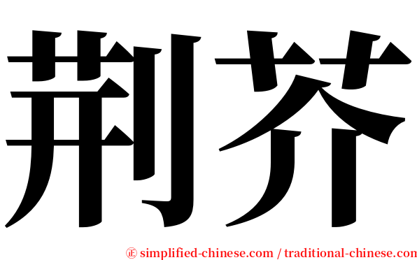 荆芥 serif font