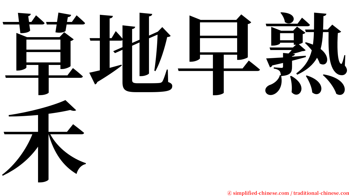 草地早熟禾 serif font