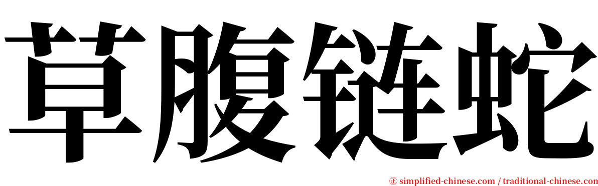 草腹链蛇 serif font