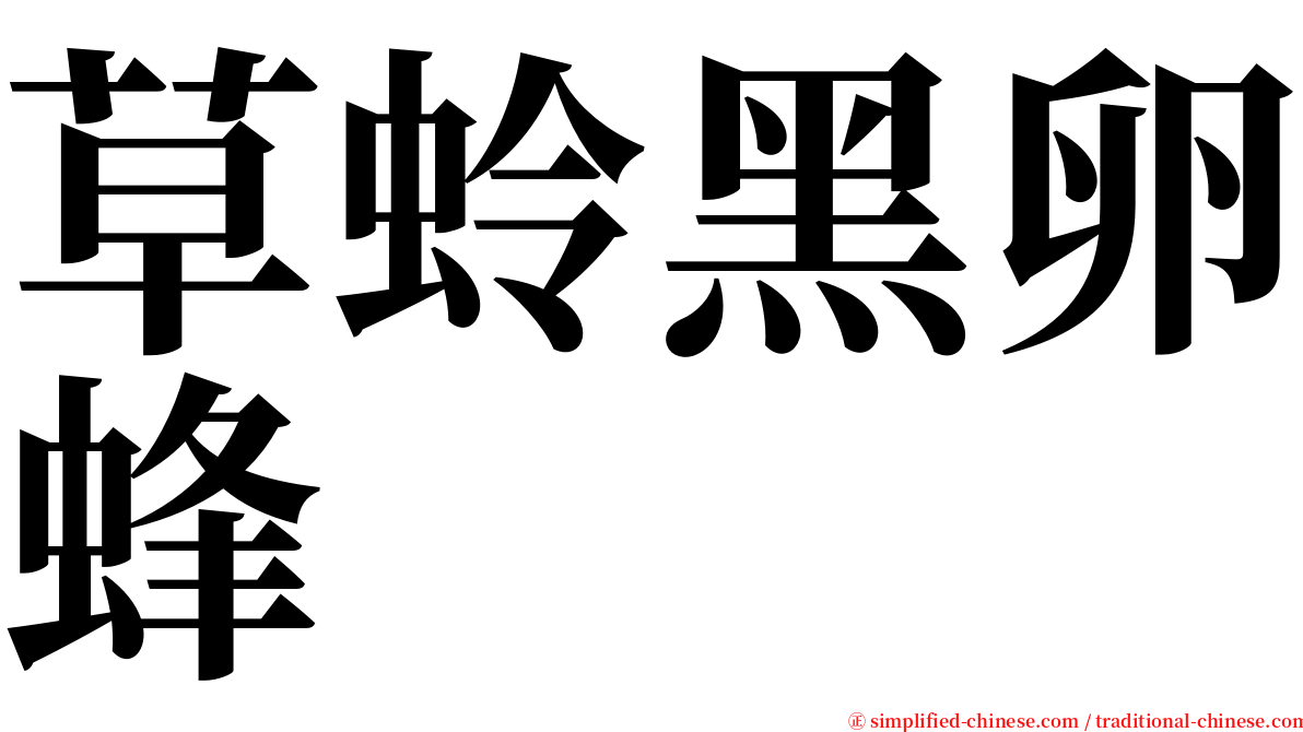 草蛉黑卵蜂 serif font