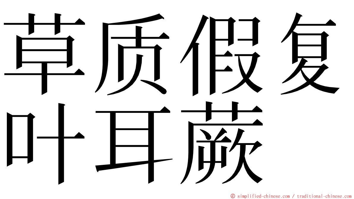 草质假复叶耳蕨 ming font