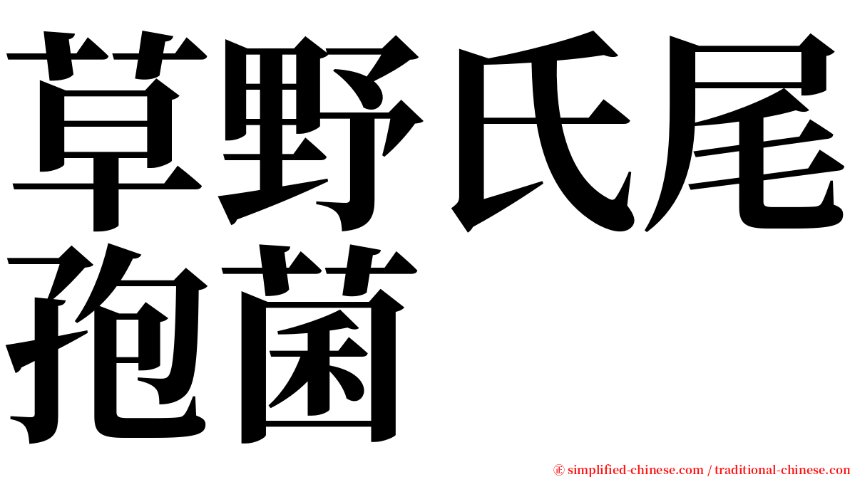 草野氏尾孢菌 serif font