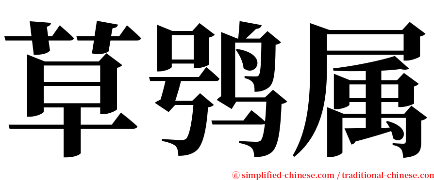 草鸮属 serif font