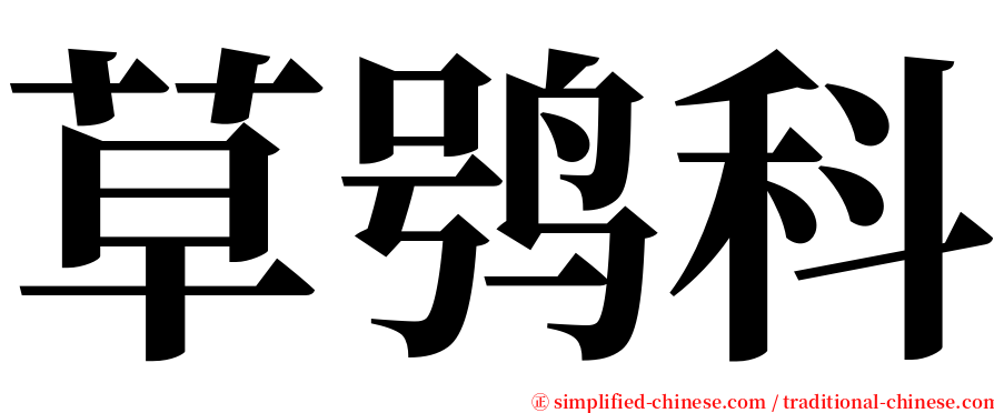 草鸮科 serif font