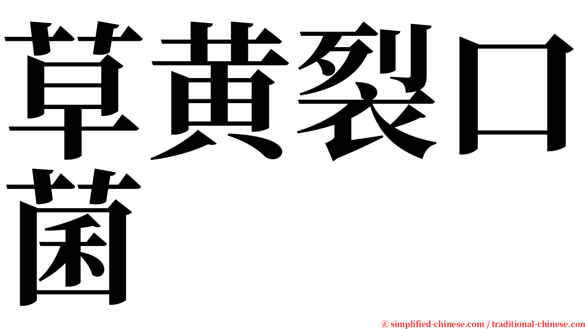 草黄裂口菌 serif font