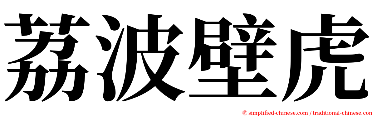 荔波壁虎 serif font