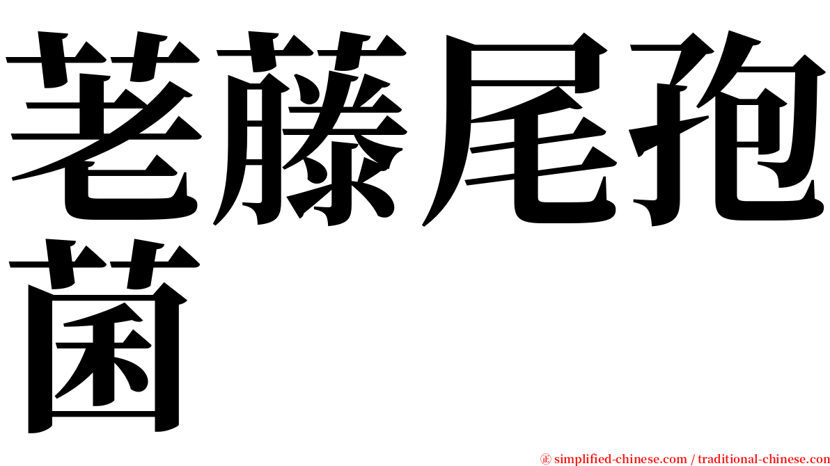 荖藤尾孢菌 serif font