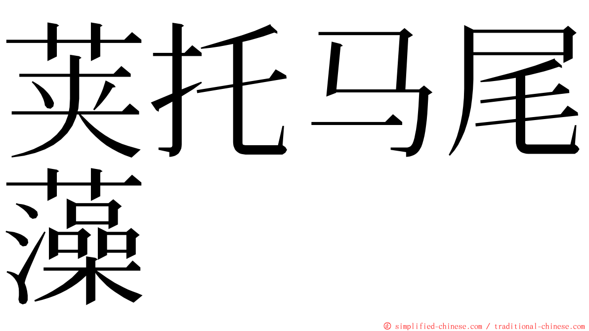 荚托马尾藻 ming font