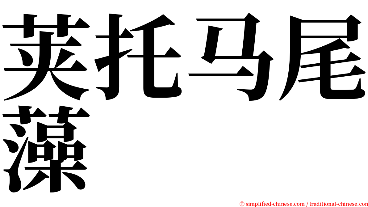 荚托马尾藻 serif font