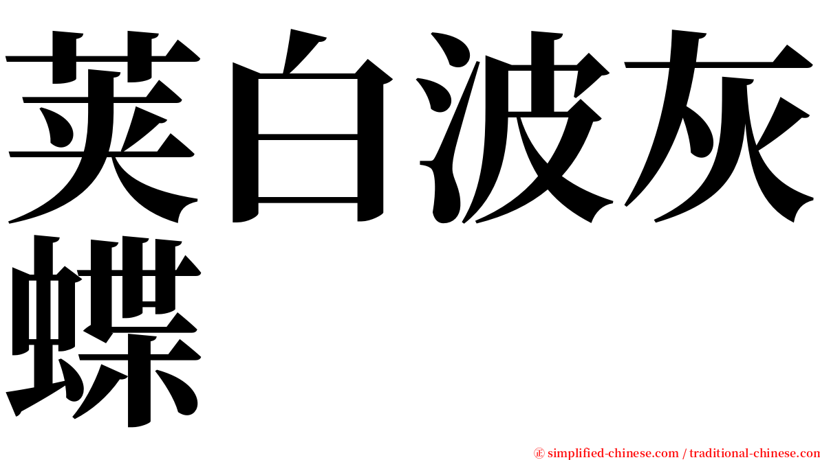 荚白波灰蝶 serif font