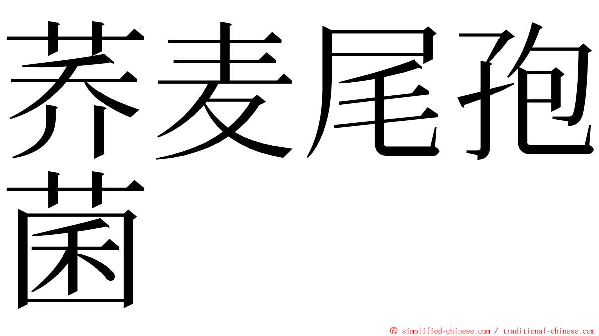 荞麦尾孢菌 ming font