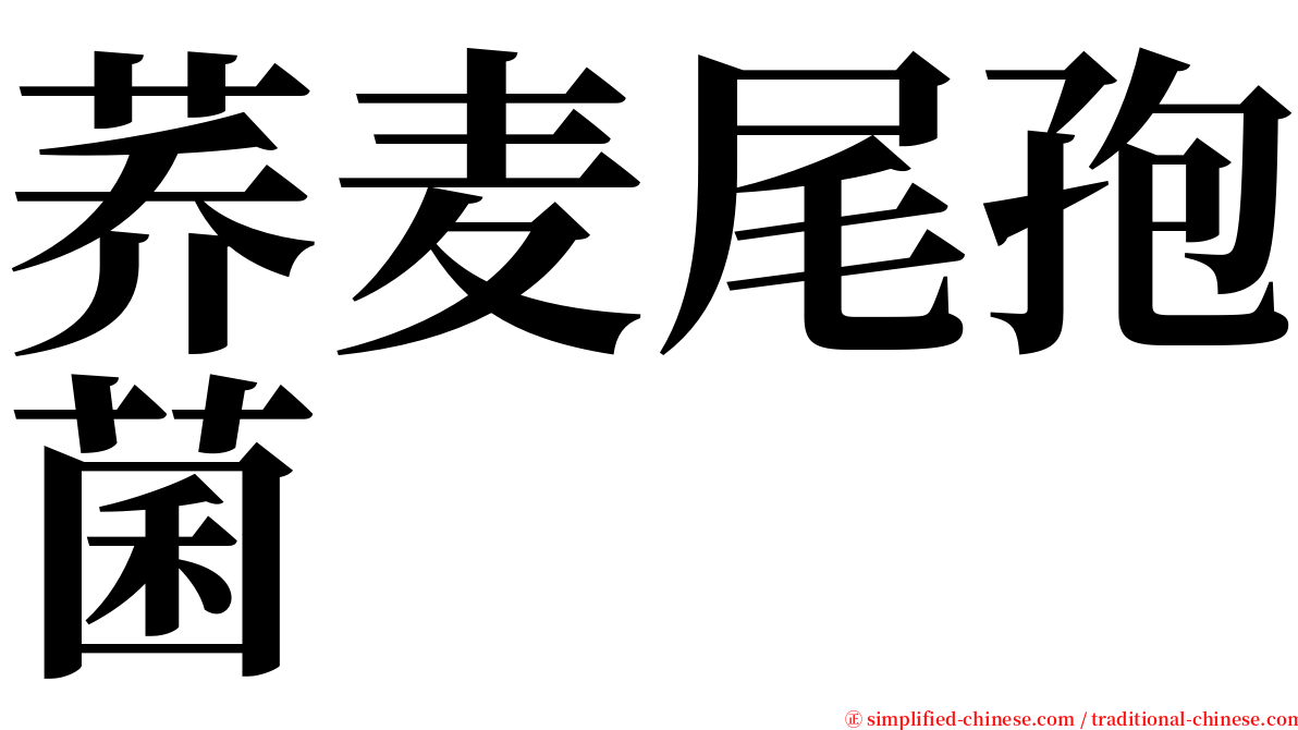 荞麦尾孢菌 serif font