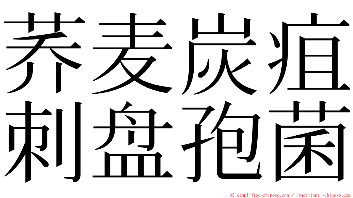 荞麦炭疽刺盘孢菌 ming font