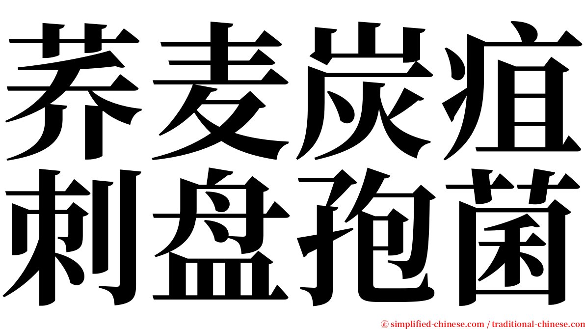 荞麦炭疽刺盘孢菌 serif font