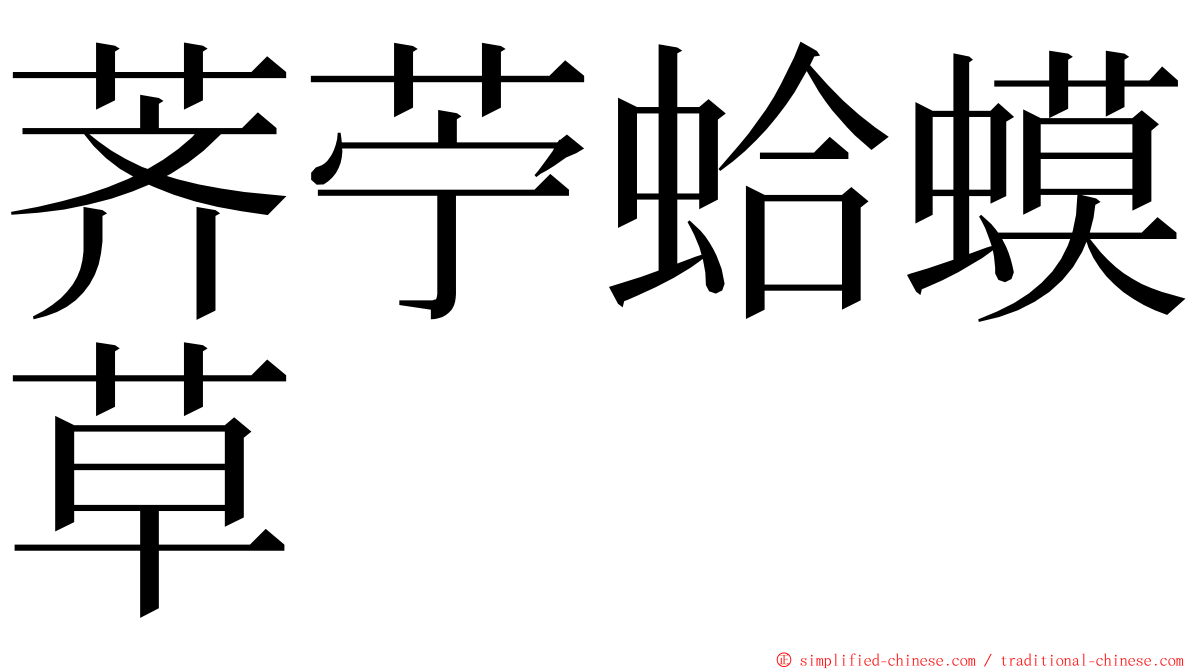 荠苧蛤蟆草 ming font