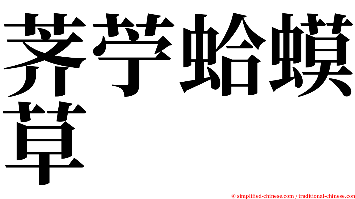 荠苧蛤蟆草 serif font