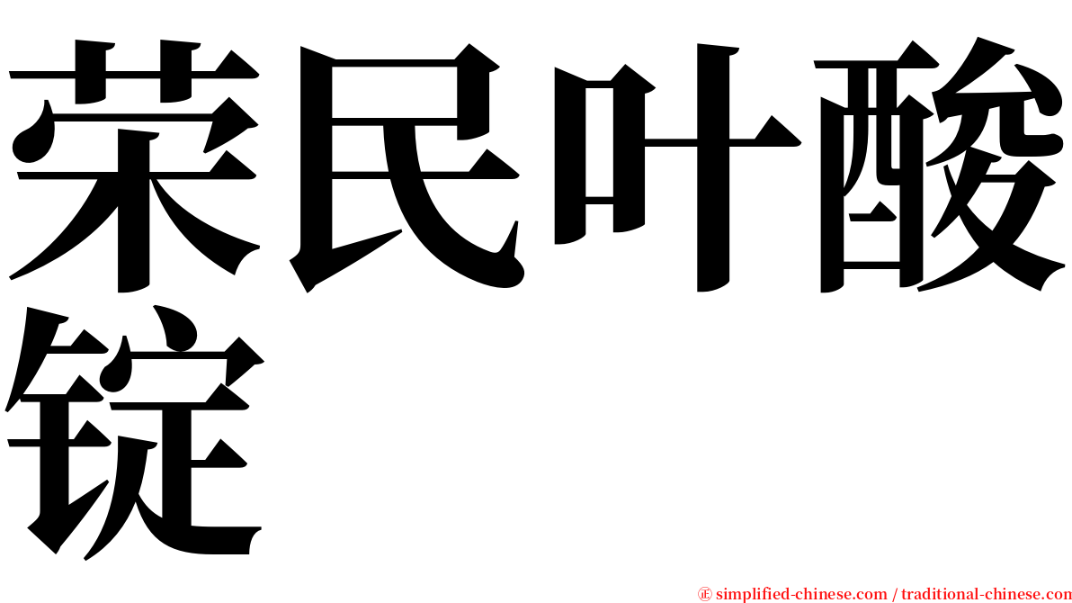 荣民叶酸锭 serif font