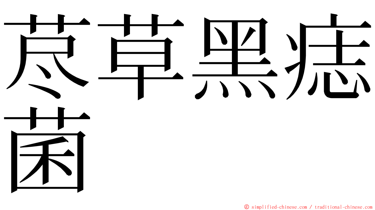 荩草黑痣菌 ming font