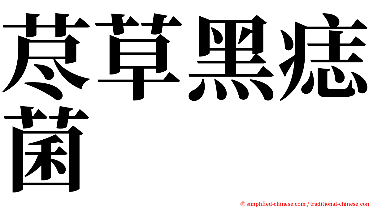 荩草黑痣菌 serif font