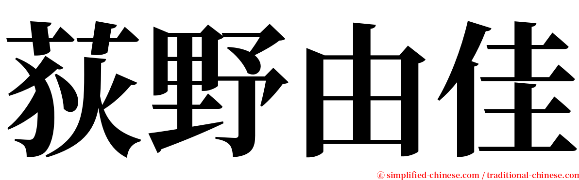 荻野由佳 serif font