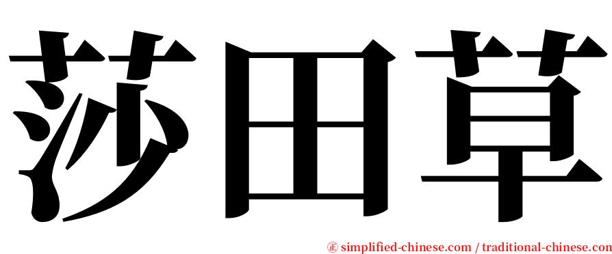 莎田草 serif font