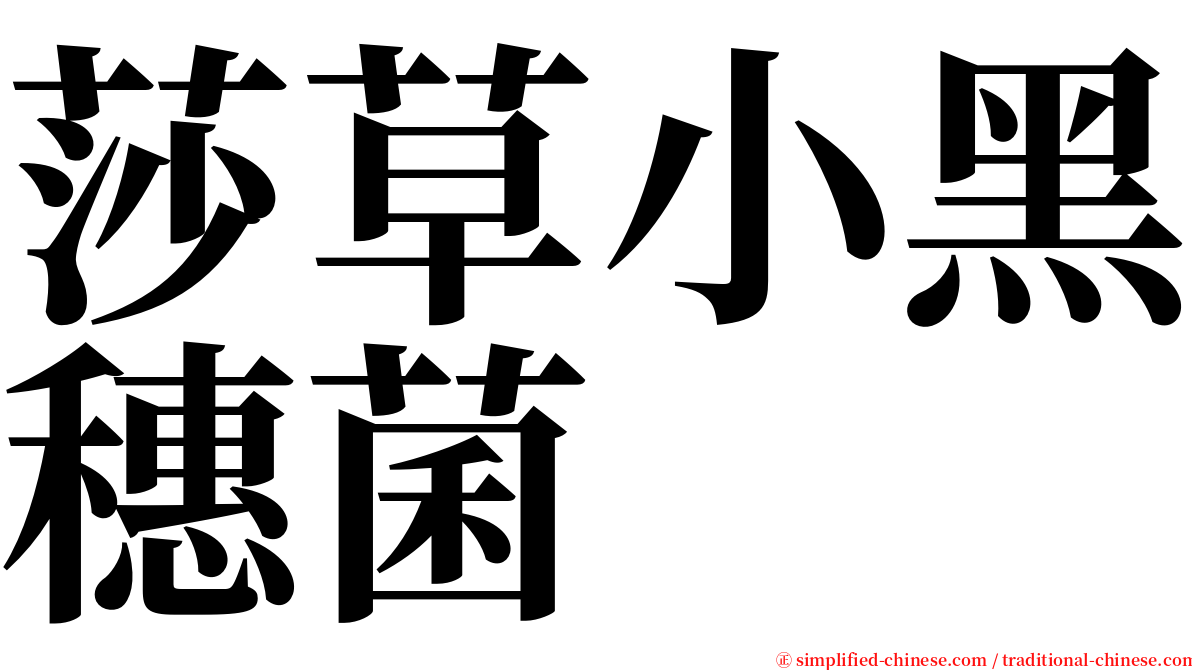 莎草小黑穗菌 serif font