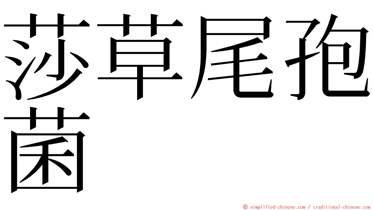 莎草尾孢菌 ming font