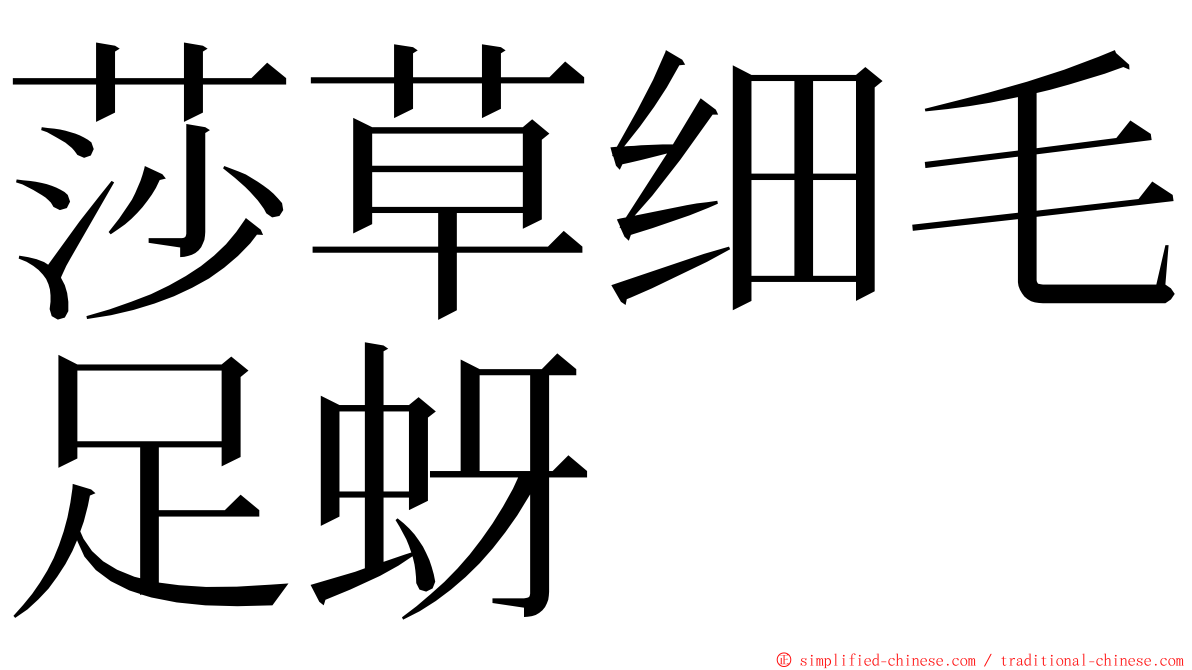 莎草细毛足蚜 ming font