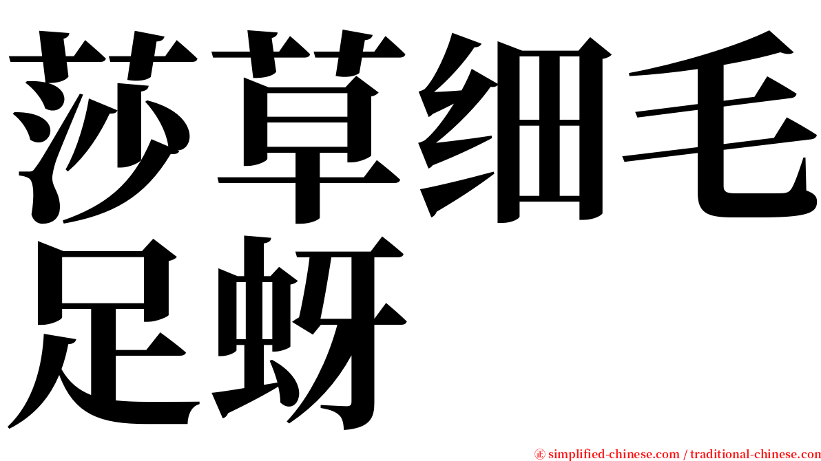 莎草细毛足蚜 serif font