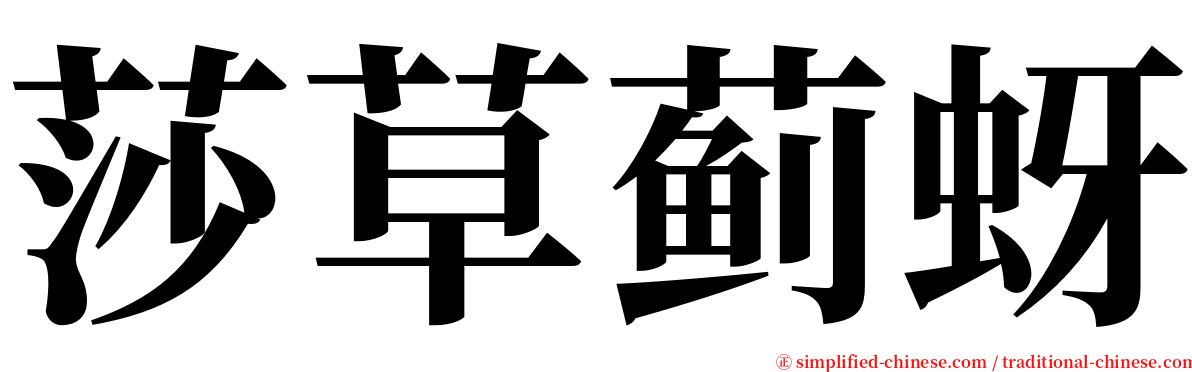 莎草蓟蚜 serif font