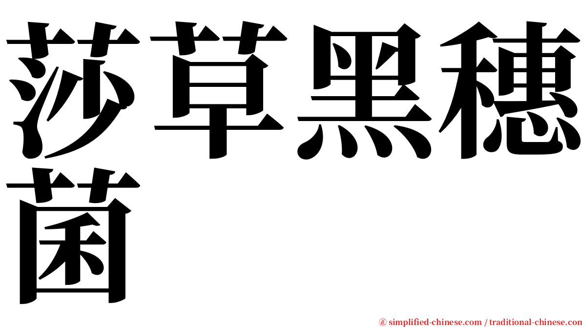 莎草黑穗菌 serif font