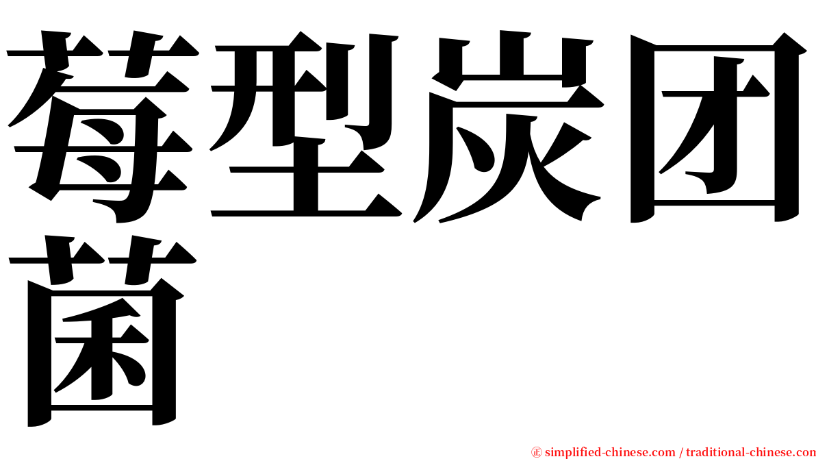 莓型炭团菌 serif font