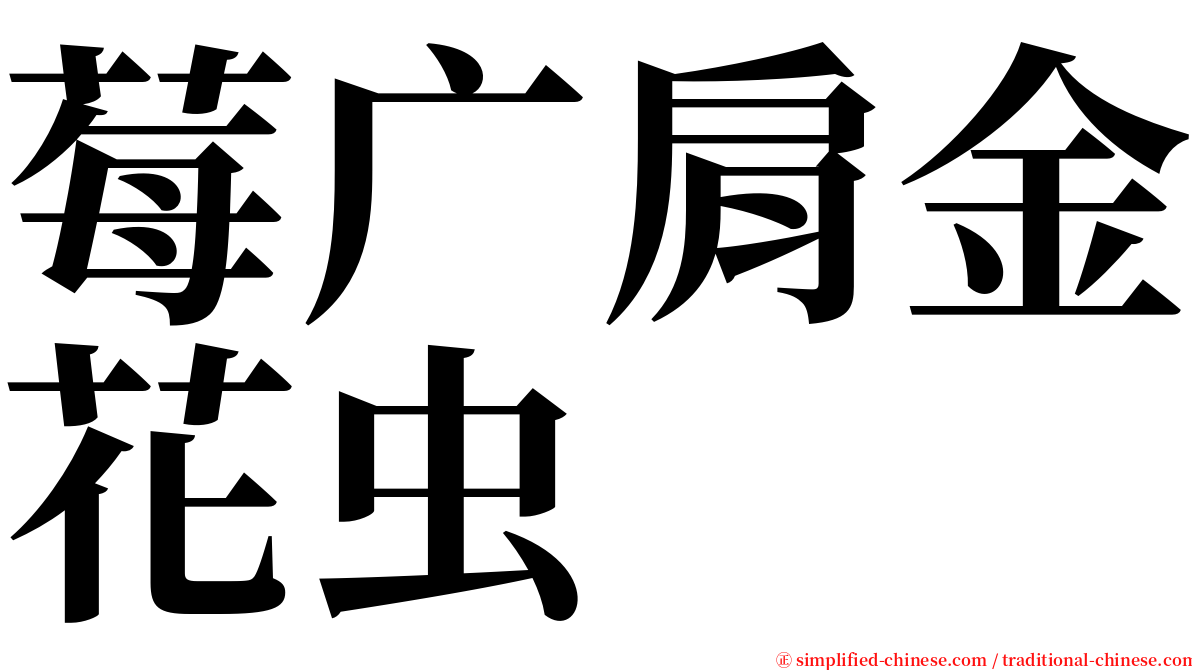 莓广肩金花虫 serif font