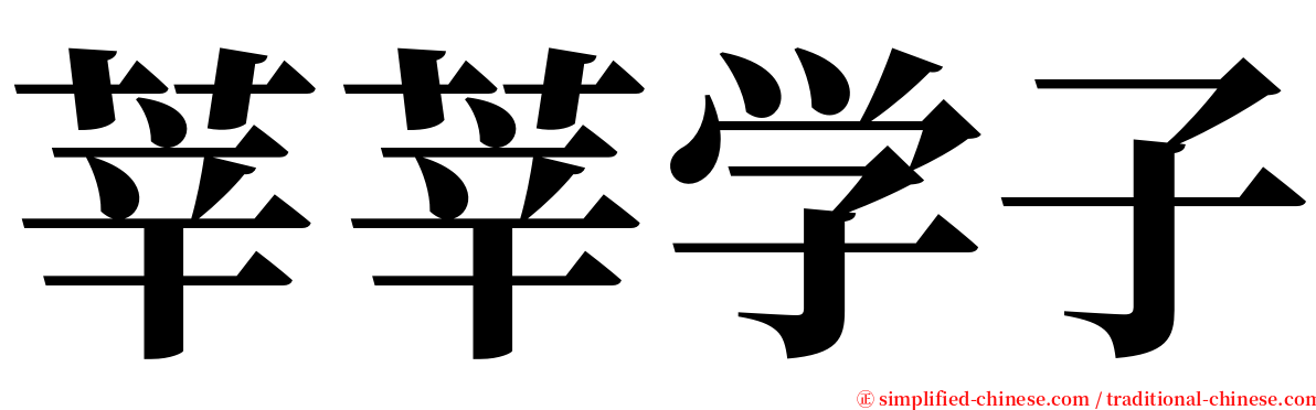 莘莘学子 serif font