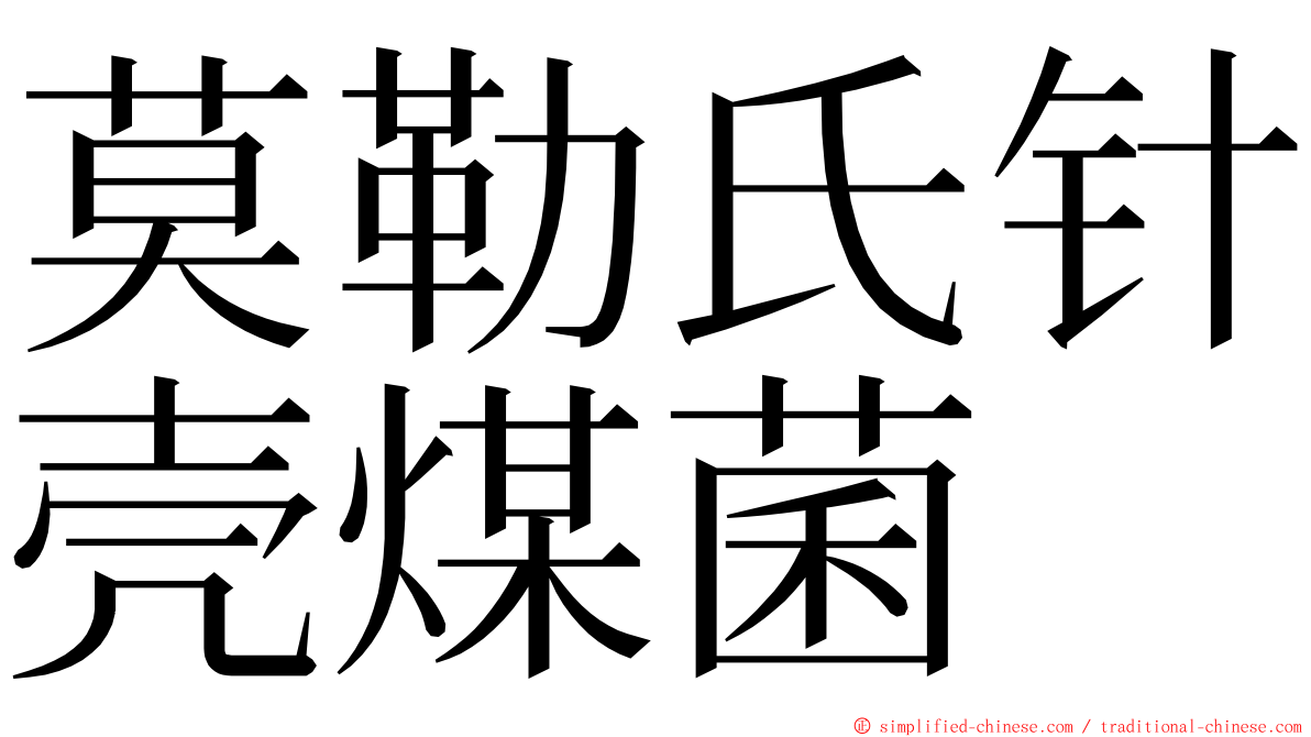 莫勒氏针壳煤菌 ming font