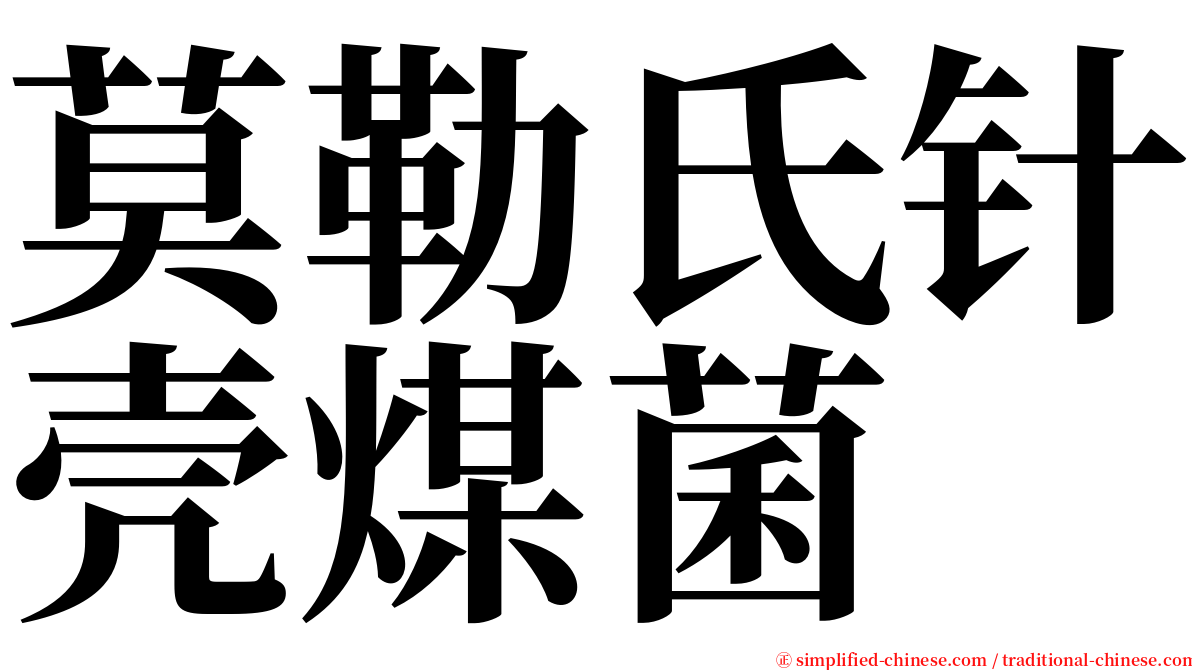 莫勒氏针壳煤菌 serif font