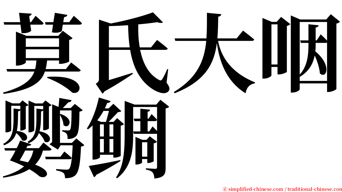 莫氏大咽鹦鲷 serif font