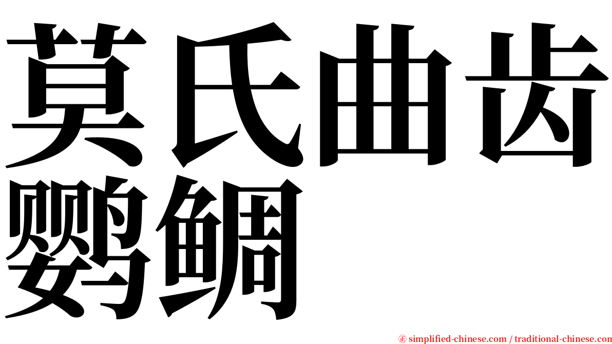 莫氏曲齿鹦鲷 serif font