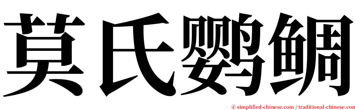 莫氏鹦鲷 serif font