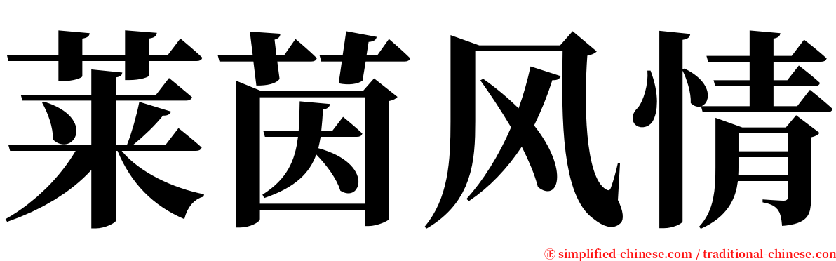 莱茵风情 serif font