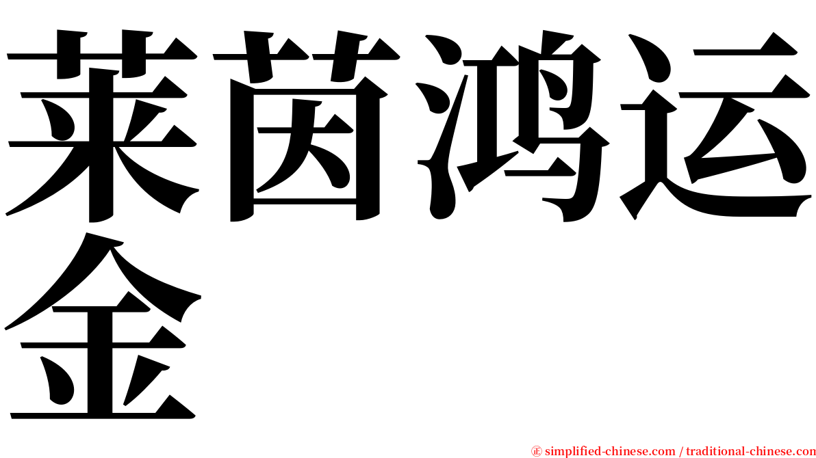 莱茵鸿运金 serif font