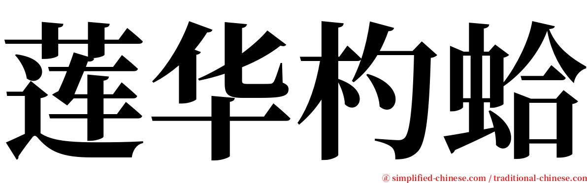 莲华杓蛤 serif font