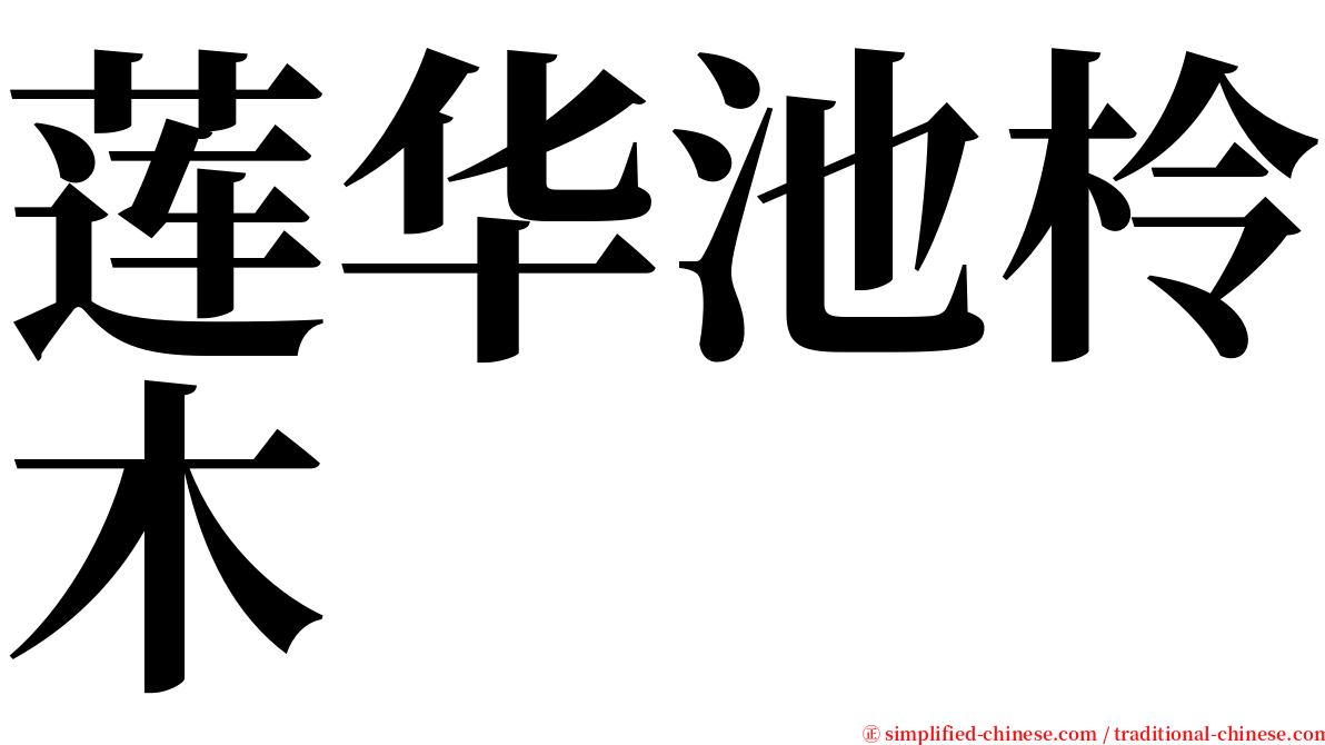 莲华池柃木 serif font