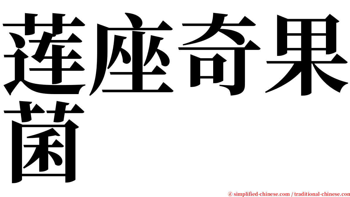 莲座奇果菌 serif font