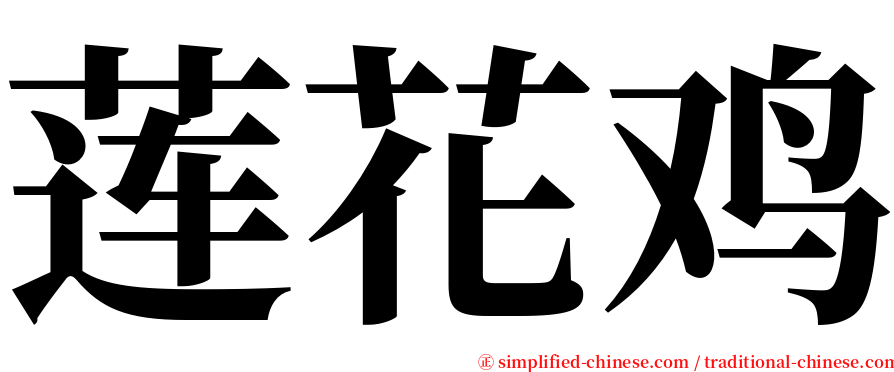 莲花鸡 serif font