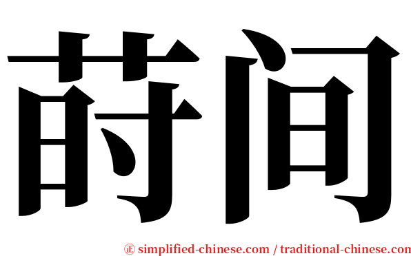 莳间 serif font