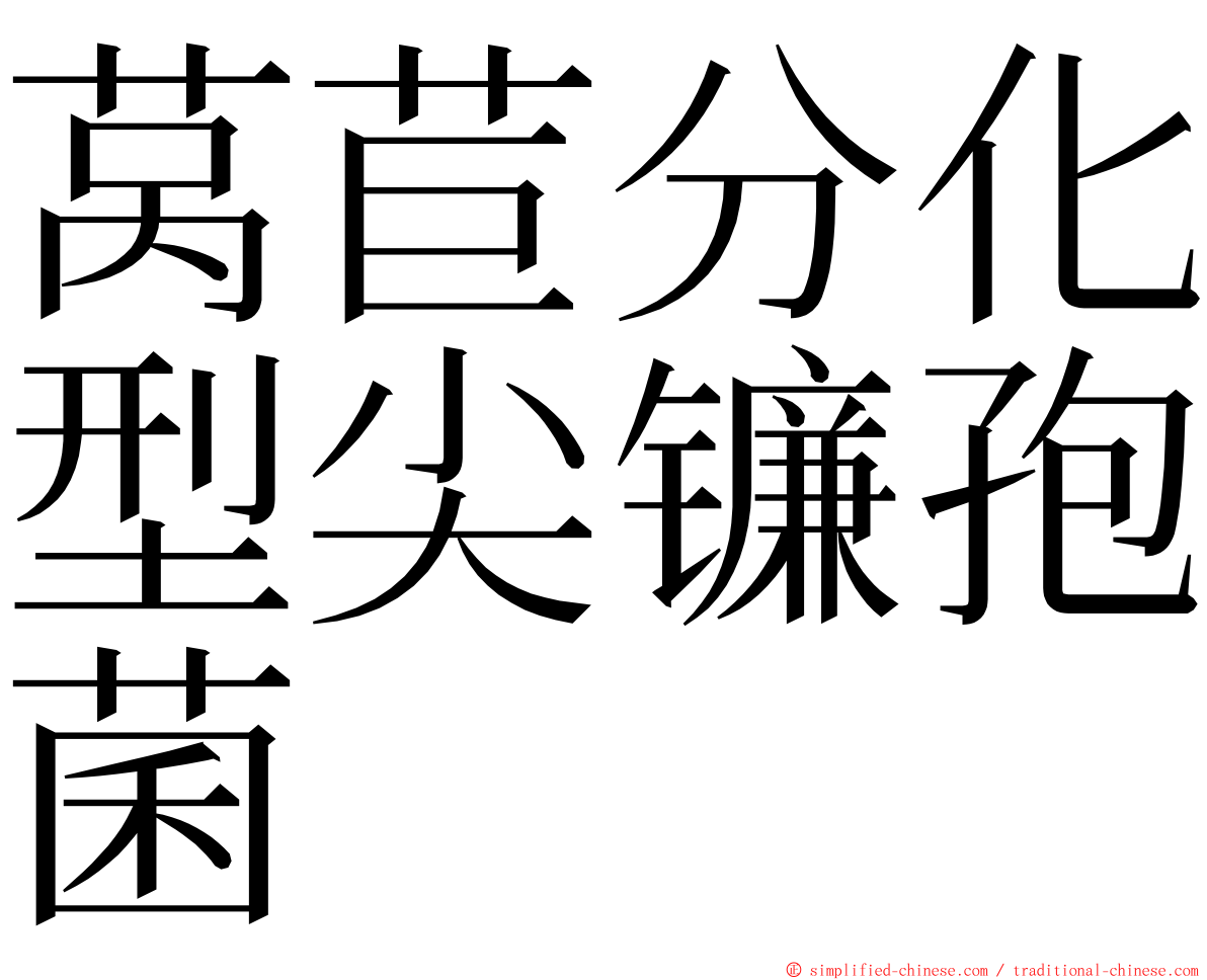 莴苣分化型尖镰孢菌 ming font